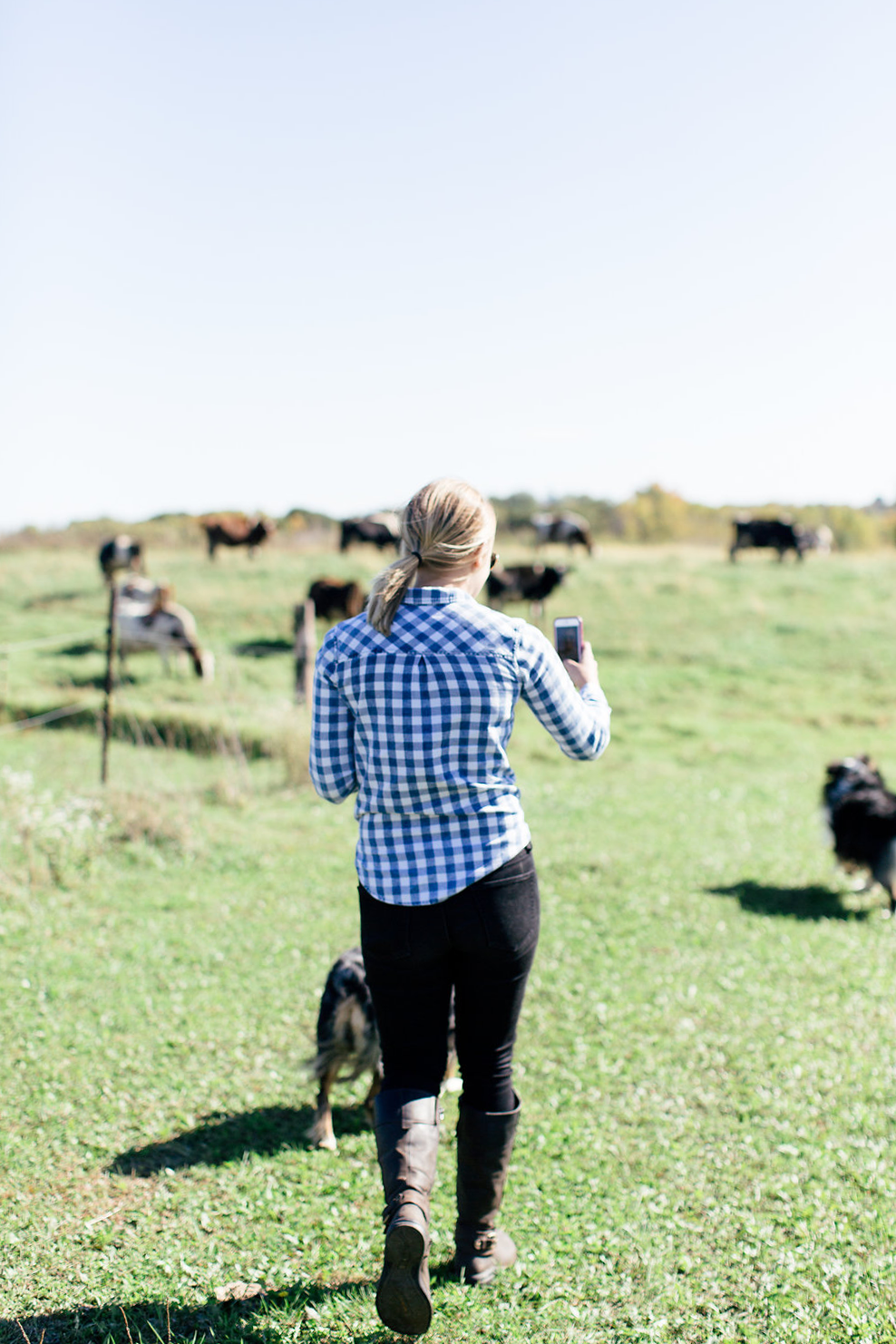 Want to know more about life on an Organic Valley Farm? In this post, you'll learn all about why we love Organic Valley Coop, as well as what it's like to run an Organic Valley Farm!