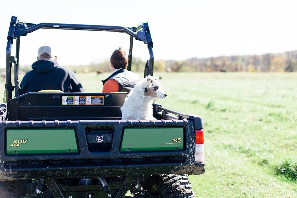 Want to know more about life on an Organic Valley Farm? In this post, you'll learn all about why we love Organic Valley Coop, as well as what it's like to run an Organic Valley Farm!