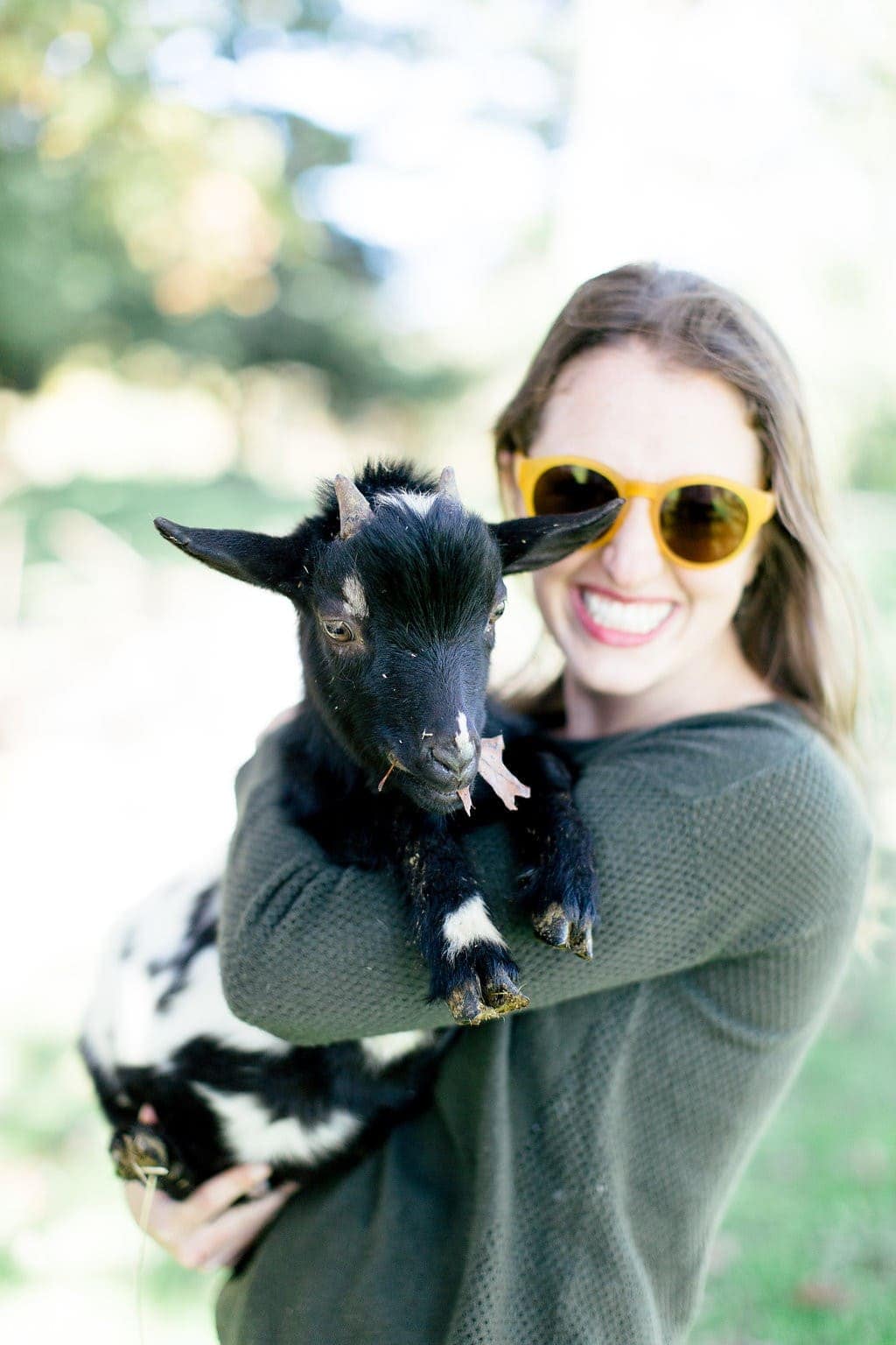 Want to know more about life on an Organic Valley Farm? In this post, you'll learn all about why we love Organic Valley Coop, as well as what it's like to run an Organic Valley Farm!