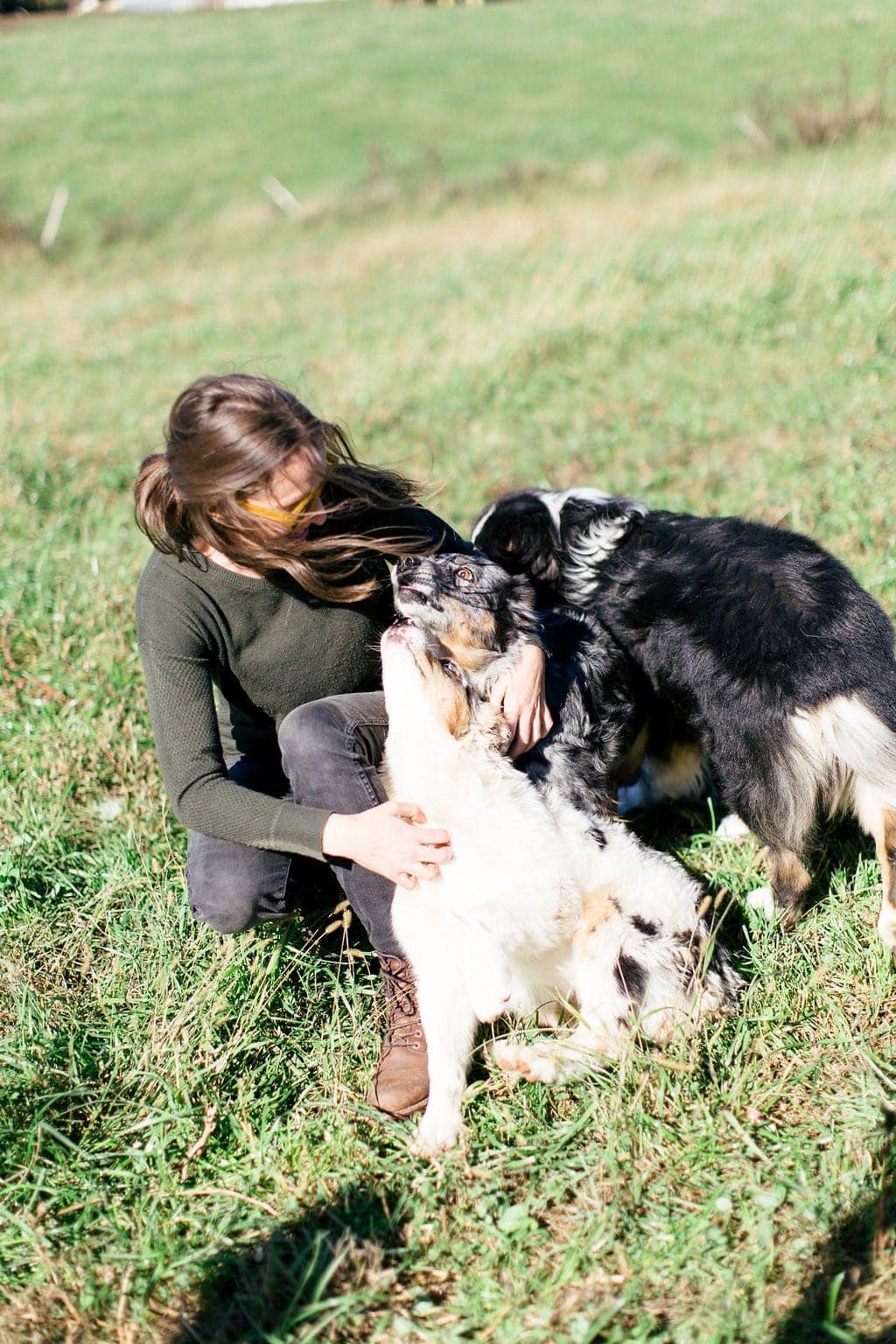 Want to know more about life on an Organic Valley Farm? In this post, you'll learn all about why we love Organic Valley Coop, as well as what it's like to run an Organic Valley Farm!