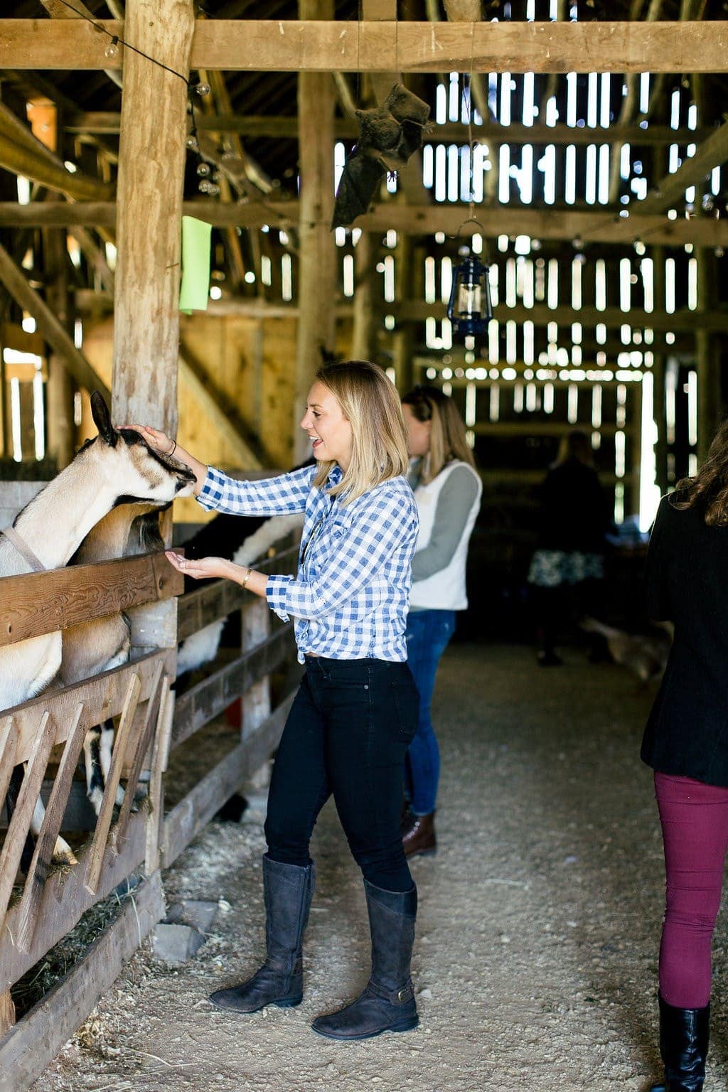 Want to know more about life on an Organic Valley Farm? In this post, you'll learn all about why we love Organic Valley Coop, as well as what it's like to run an Organic Valley Farm!