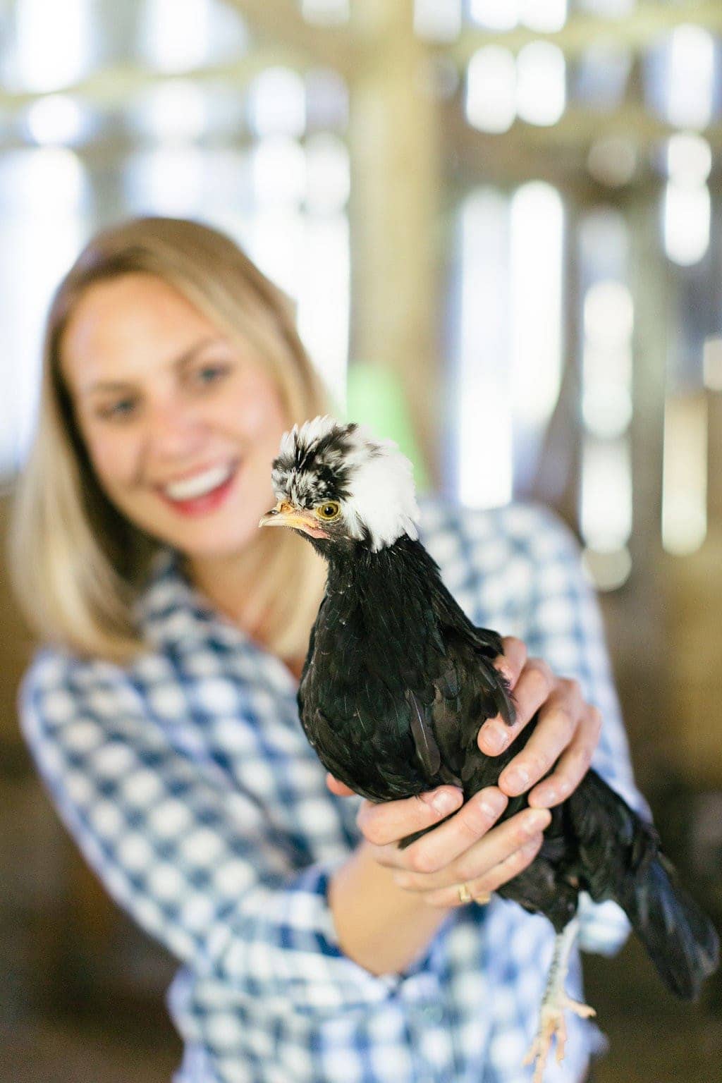 Want to know more about life on an Organic Valley Farm? In this post, you'll learn all about why we love Organic Valley Coop, as well as what it's like to run an Organic Valley Farm!