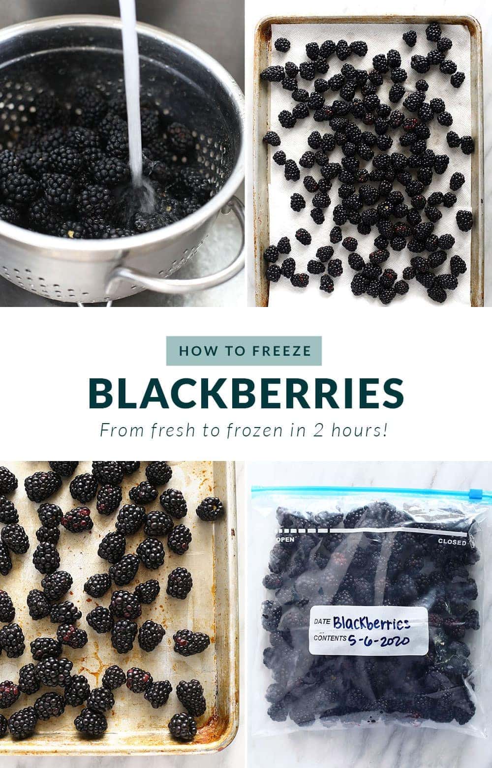 how to freeze blackberries step by step