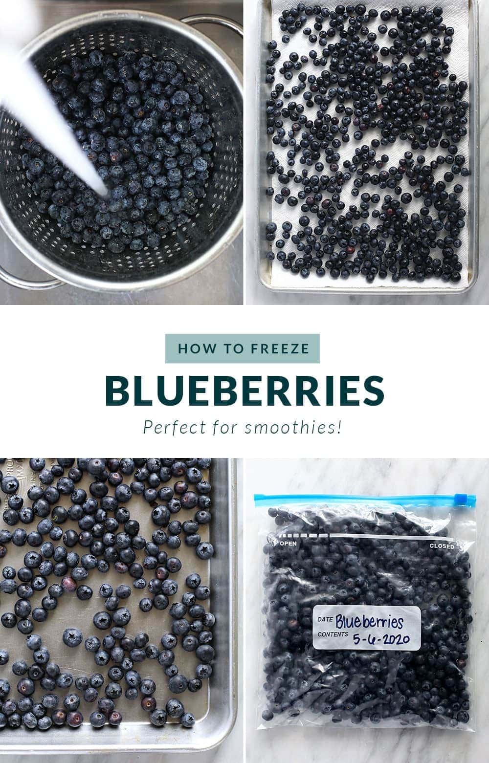how to freeze blueberries step by step