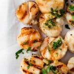 scallops on skewer