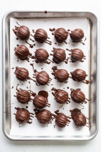 Chocolate truffles on a baking sheet.