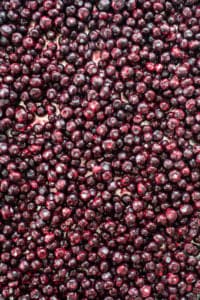 A close-up view of numerous dark red cherries piled together.